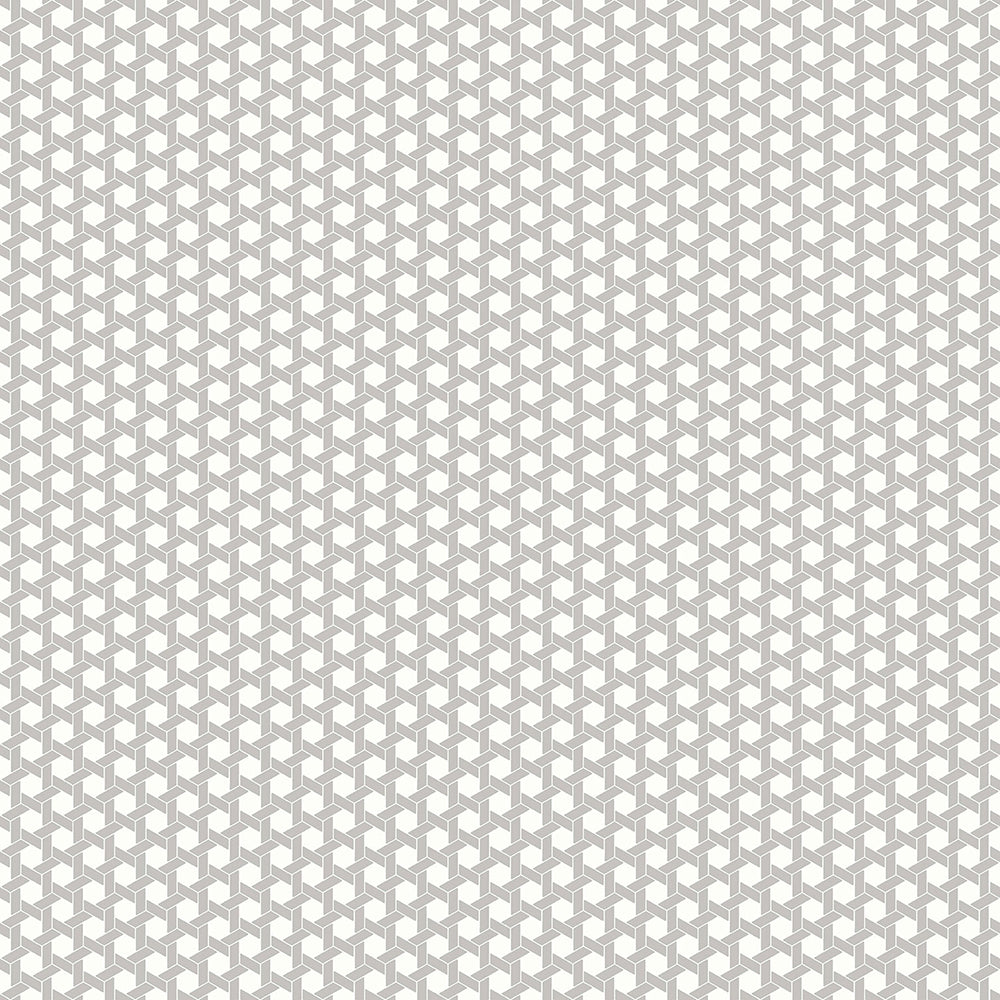 Flora - Geometric Braid geometric wallpaper Parato Roll Grey  18510