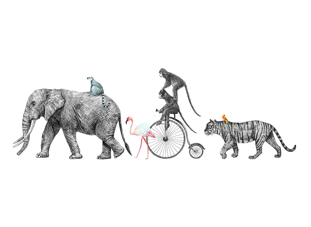 Designwalls 2 - Animal Queue | eurowalls – eurowalls™