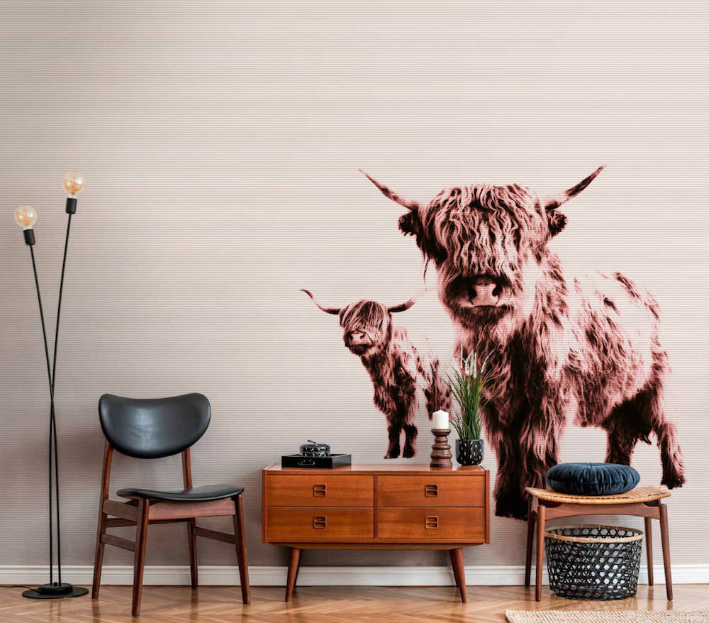 ARTist - Highland Cows digital print AS Creation    