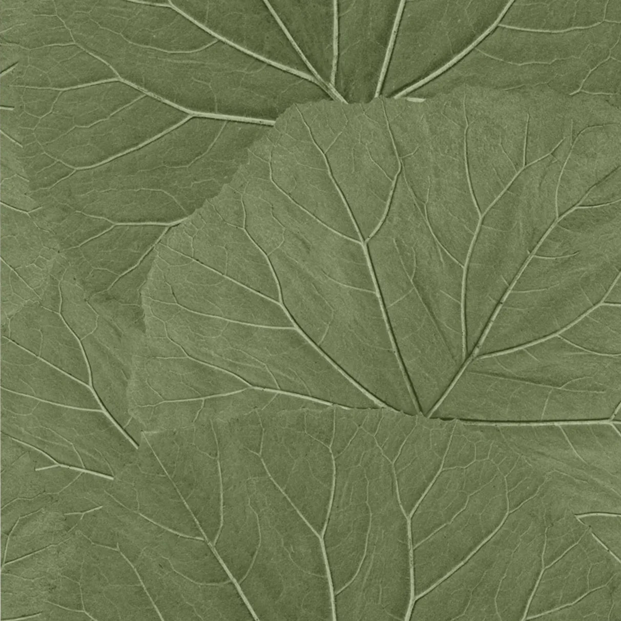 Jungle Fever - Lush Harmony botanical wallpaper ESTAhome Roll Olive Green 138995