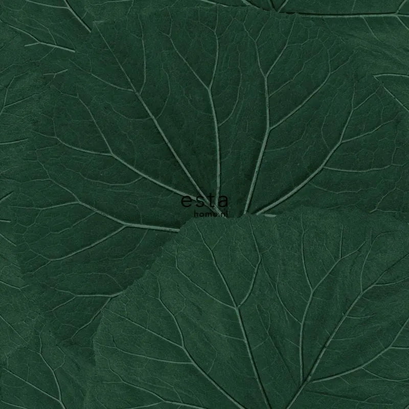 Jungle Fever - Lush Harmony