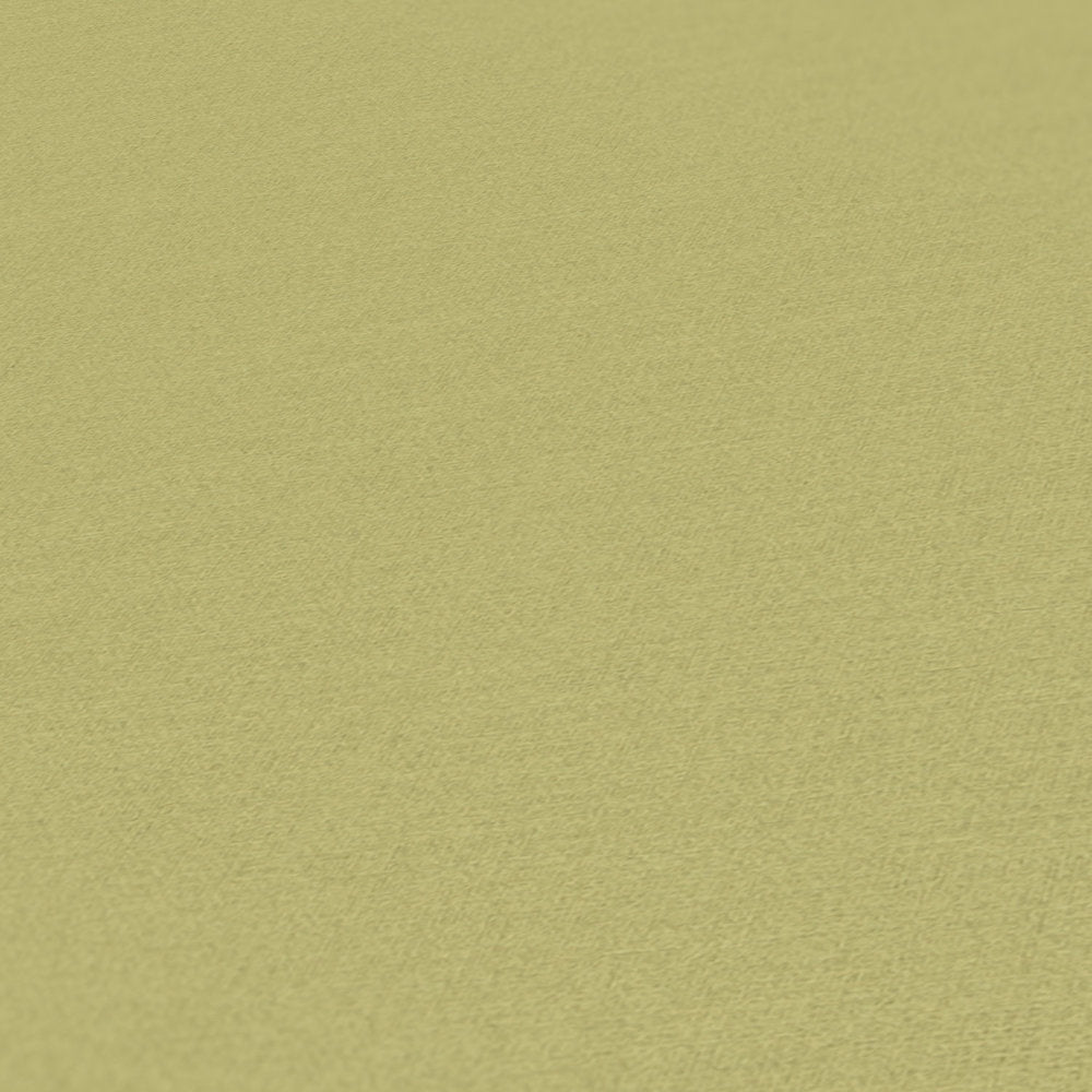Antigua - Plain Satisfaction plain wallpaper AS Creation    