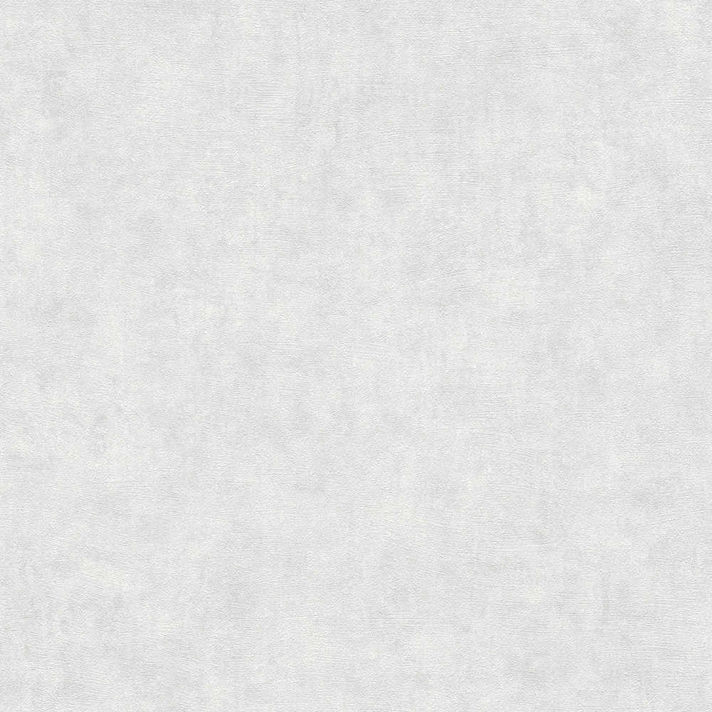 Terra - Industrial Wall plain wallpaper AS Creation Roll Light Grey  389221