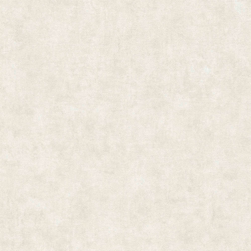 Terra - Industrial Wall plain wallpaper AS Creation Roll Cream  389224