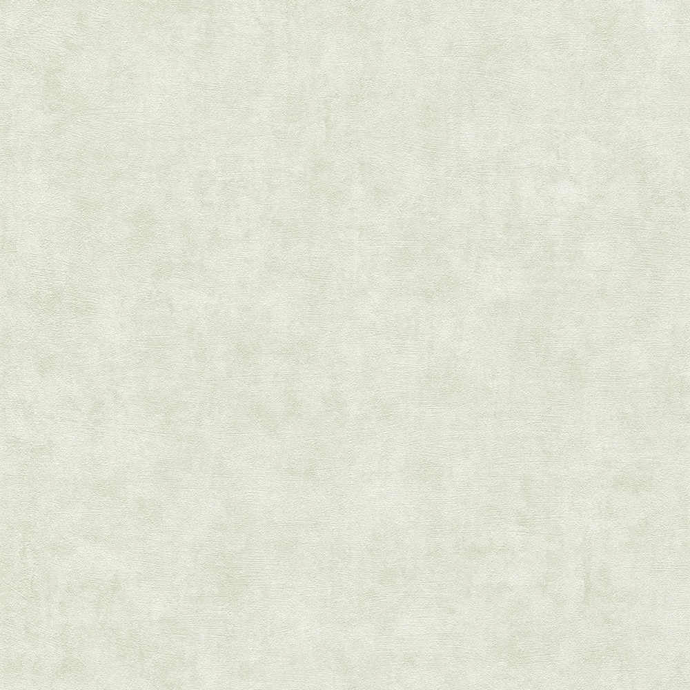Terra - Industrial Wall plain wallpaper AS Creation Roll Light Green  389225