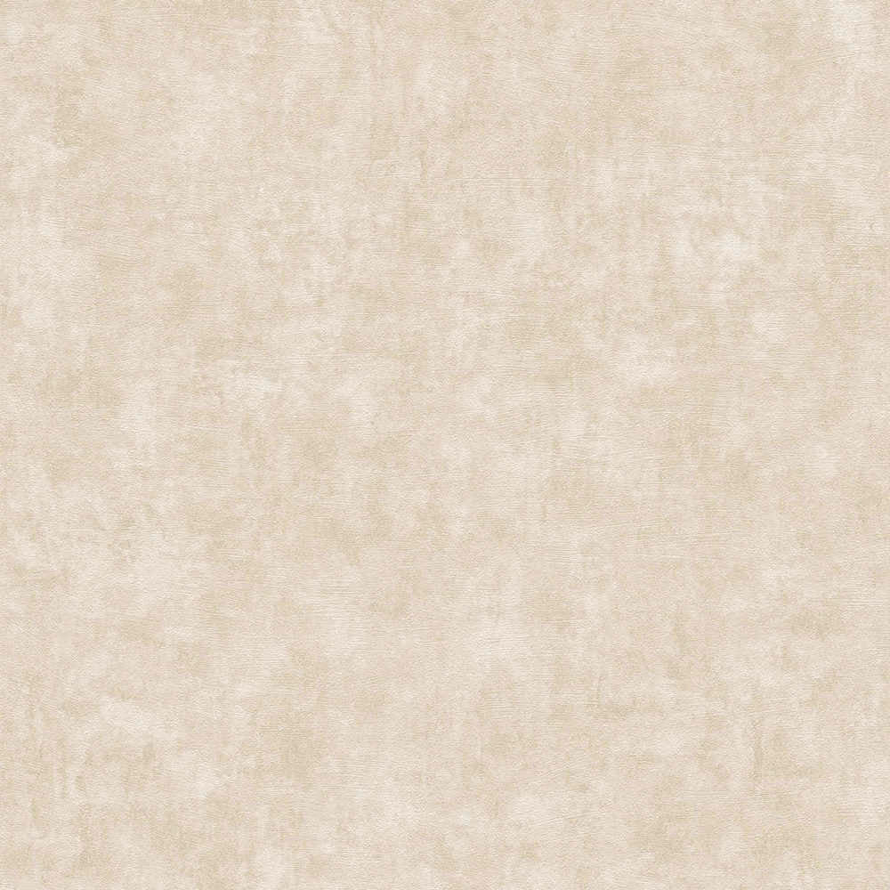 Terra - Industrial Wall plain wallpaper AS Creation Roll Beige  389228