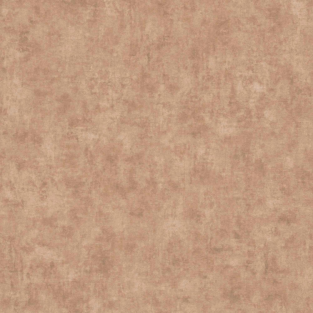 Terra - Industrial Wall plain wallpaper AS Creation Roll Brown  389229