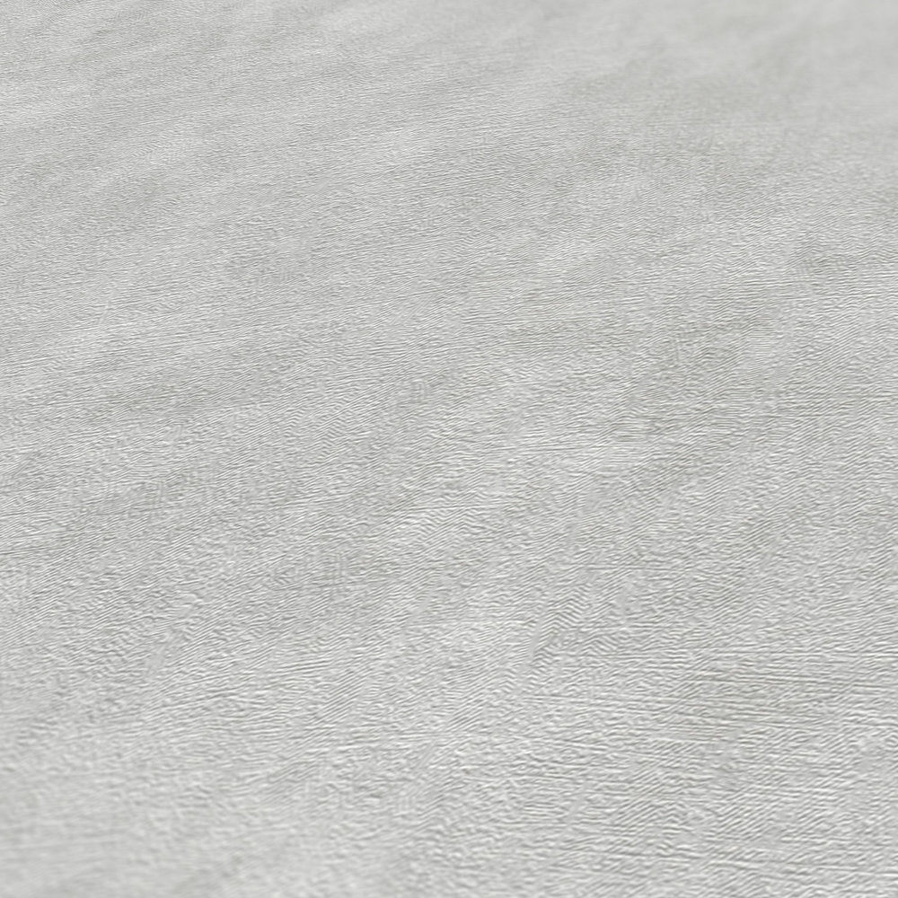 Terra - Industrial Wall plain wallpaper AS Creation    