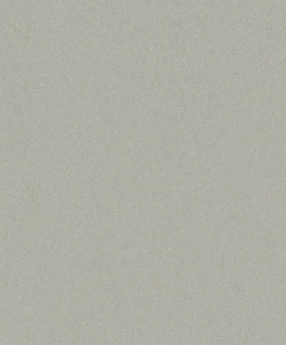Habitat - Plain plain wallpaper Marburg Roll Greige  34026