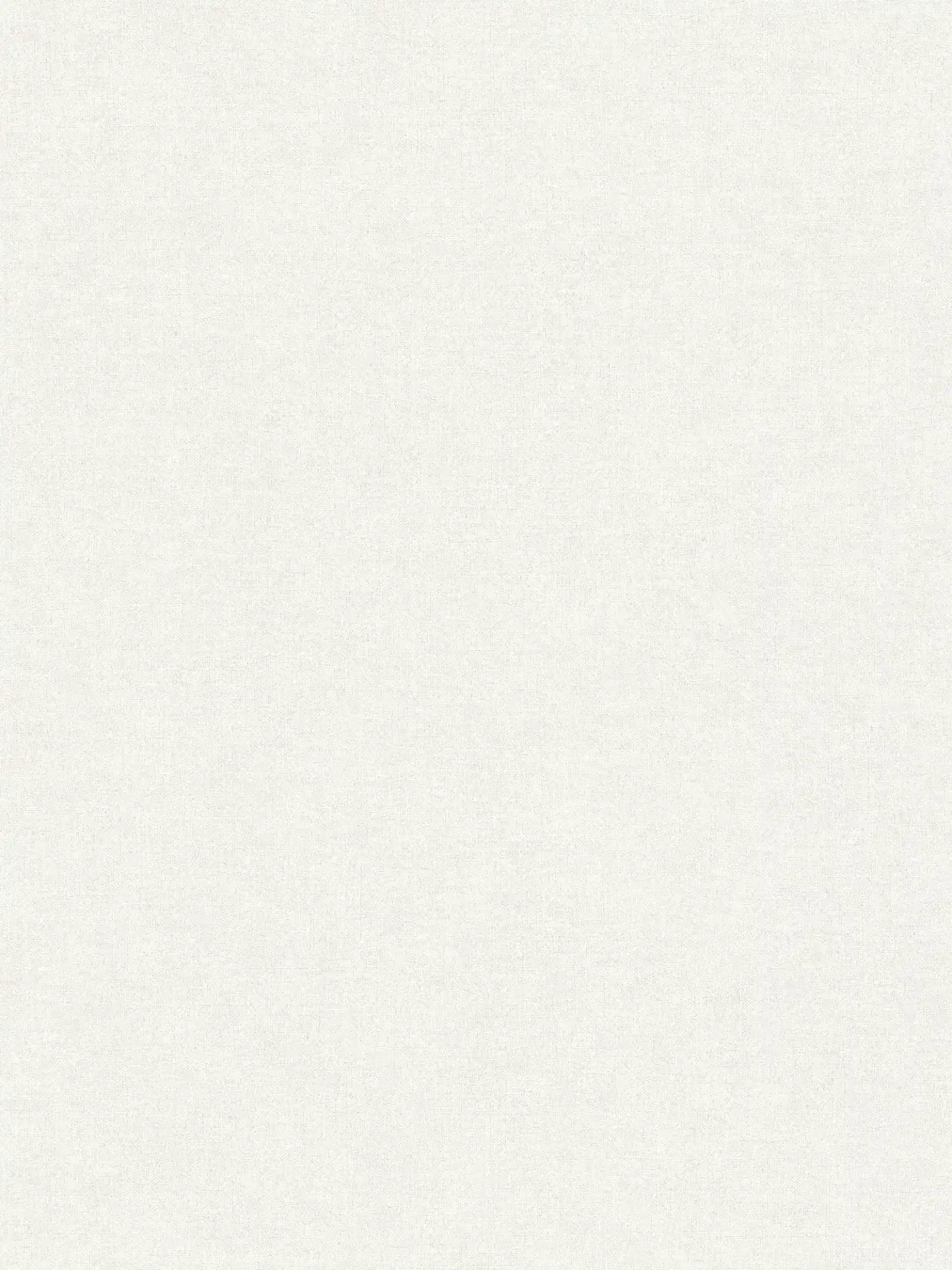 Smart Surfaces - Alba plain wallpaper AS Creation Roll Light Grey 367202