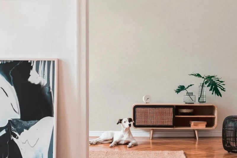 Smart Surfaces - Alba