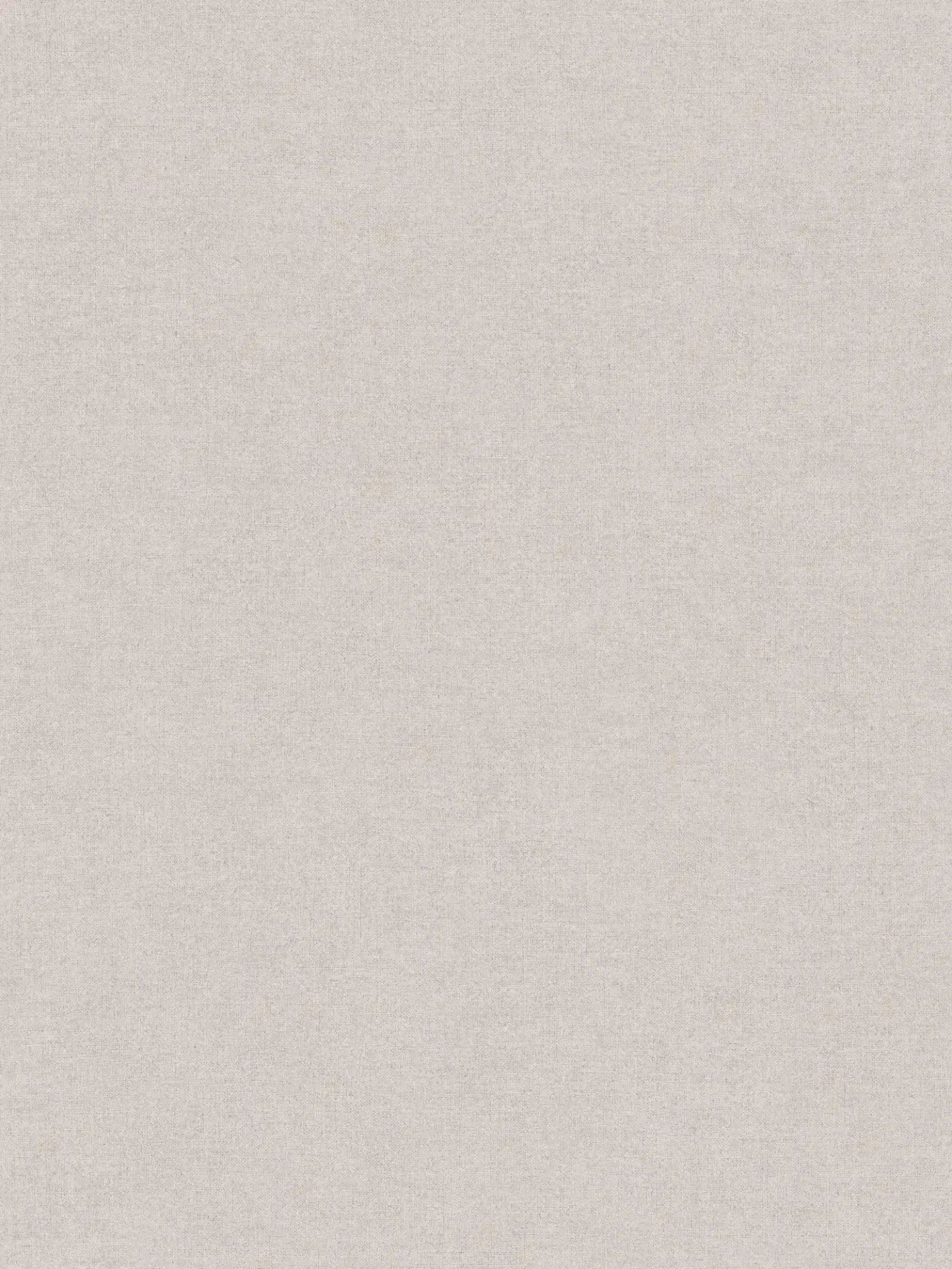 Smart Surfaces - Haven plain wallpaper AS Creation Roll Grey 367214