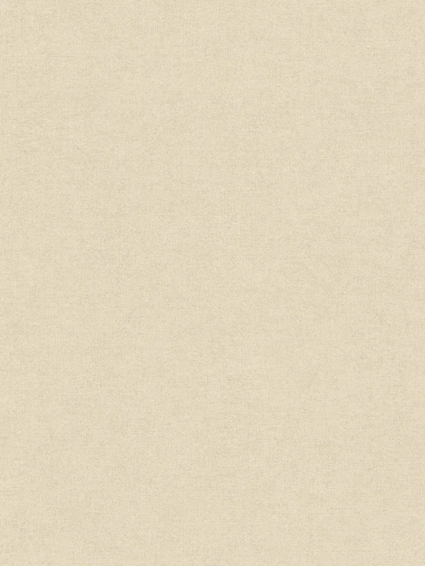 Smart Surfaces - Haven plain wallpaper AS Creation Roll Beige 367216