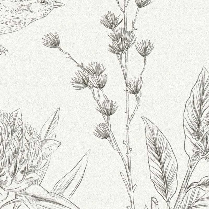 Drawn Into Nature - Birds of Nature botanical wallpaper AS Creation