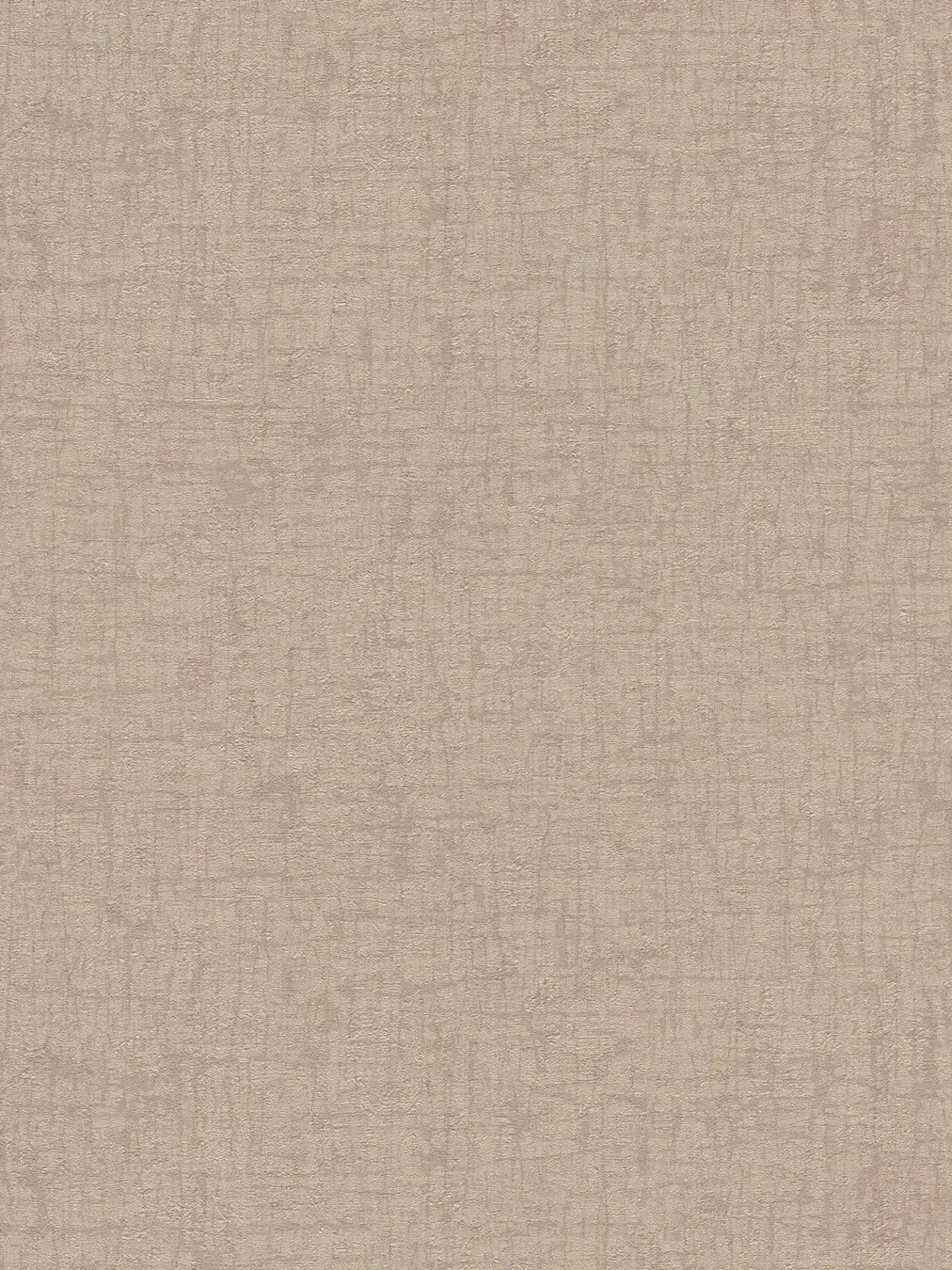Smart Surfaces - Masonry plain wallpaper AS Creation Roll Dark Beige 395643