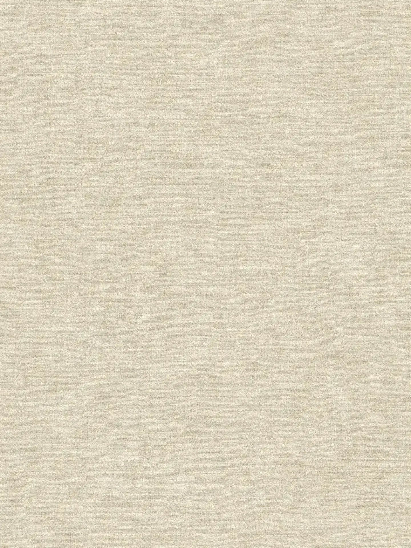 Smart Surfaces - Flaxen plain wallpaper AS Creation Roll Greige 395654