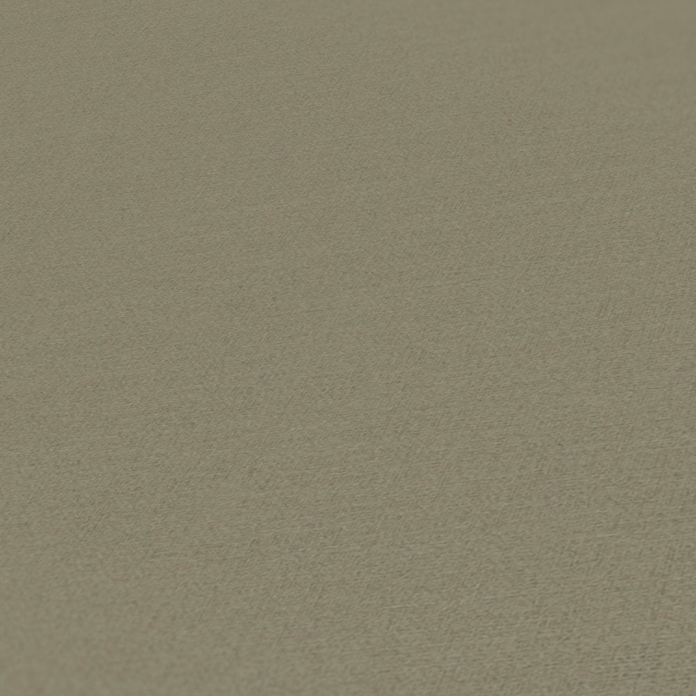 Antigua - Plain Satisfaction plain wallpaper AS Creation    