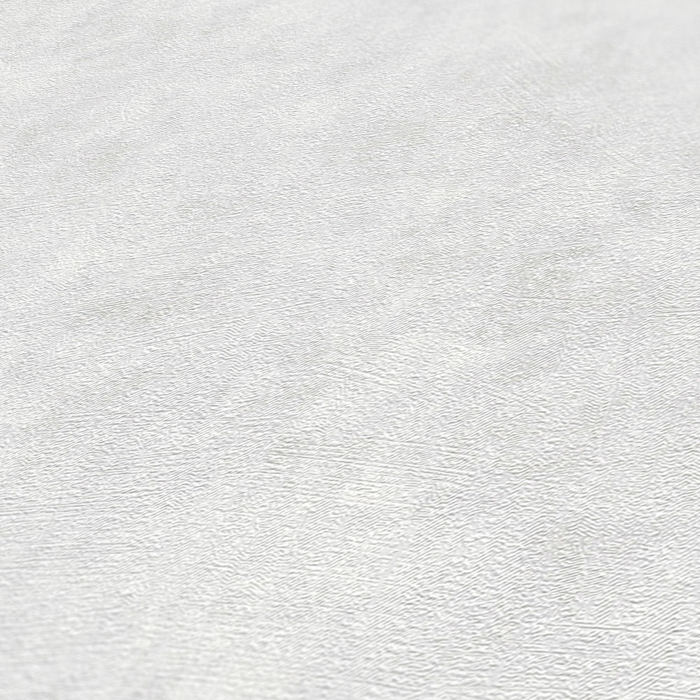 Terra - Industrial Wall plain wallpaper AS Creation    