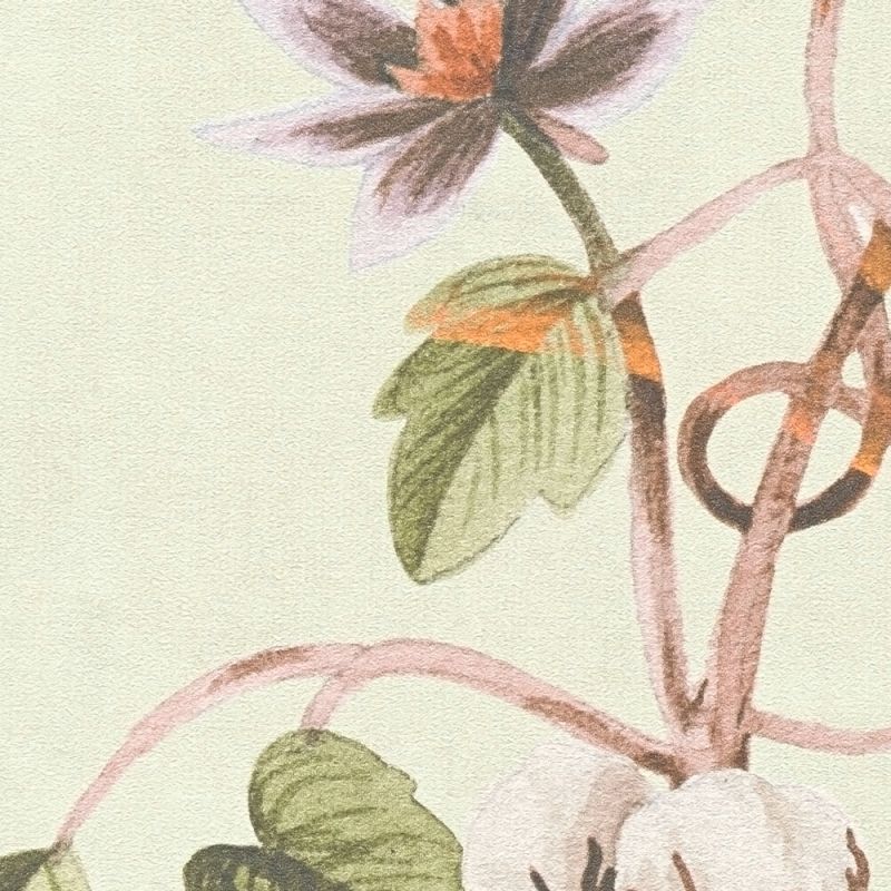 Anna D'Andrea - Heritage Vine botanical wallpaper AS Creation