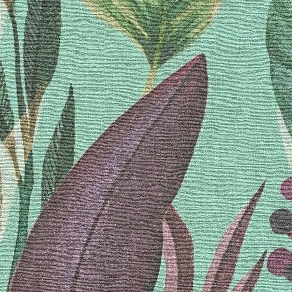 Anna D'Andrea - Tropical Breeze