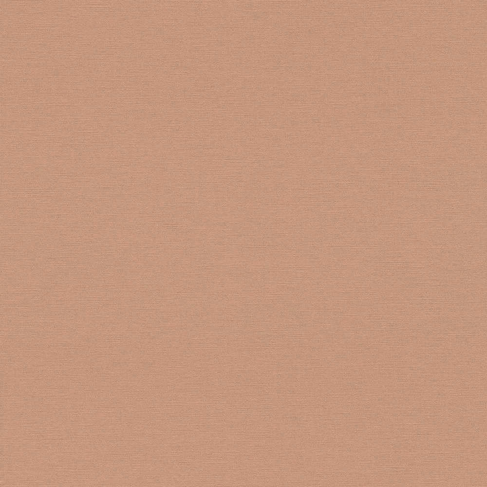 Antigua - Plain Satisfaction plain wallpaper AS Creation Roll Taupe  390972