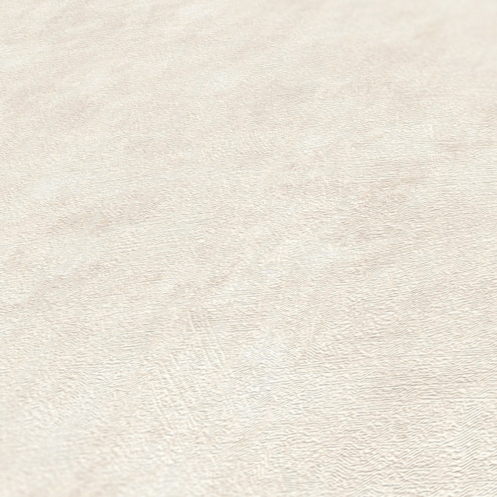 Terra - Industrial Wall plain wallpaper AS Creation    