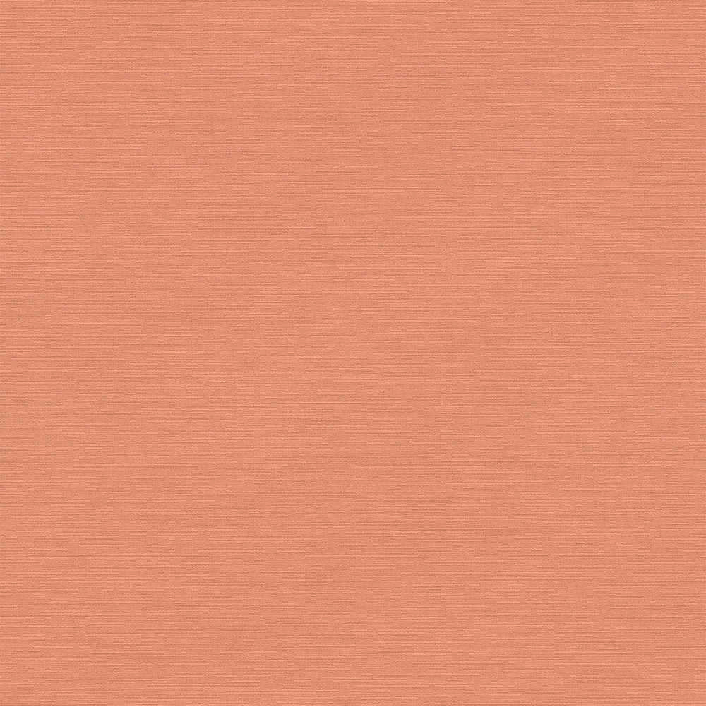 Antigua - Plain Satisfaction plain wallpaper AS Creation Roll Orange  390973