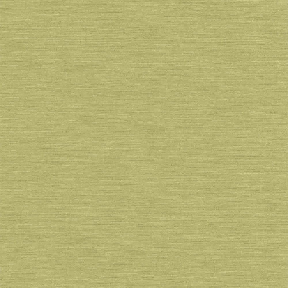 Antigua - Plain Satisfaction plain wallpaper AS Creation Roll Green  390974