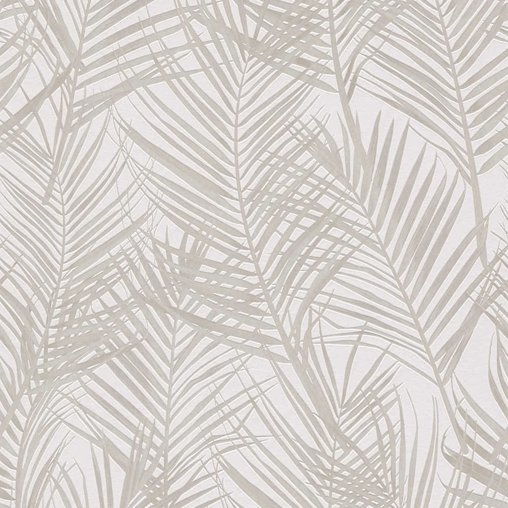 Attractive 2 - Palm Leaves botanical wallpaper AS Creation Roll Light Taupe  390383
