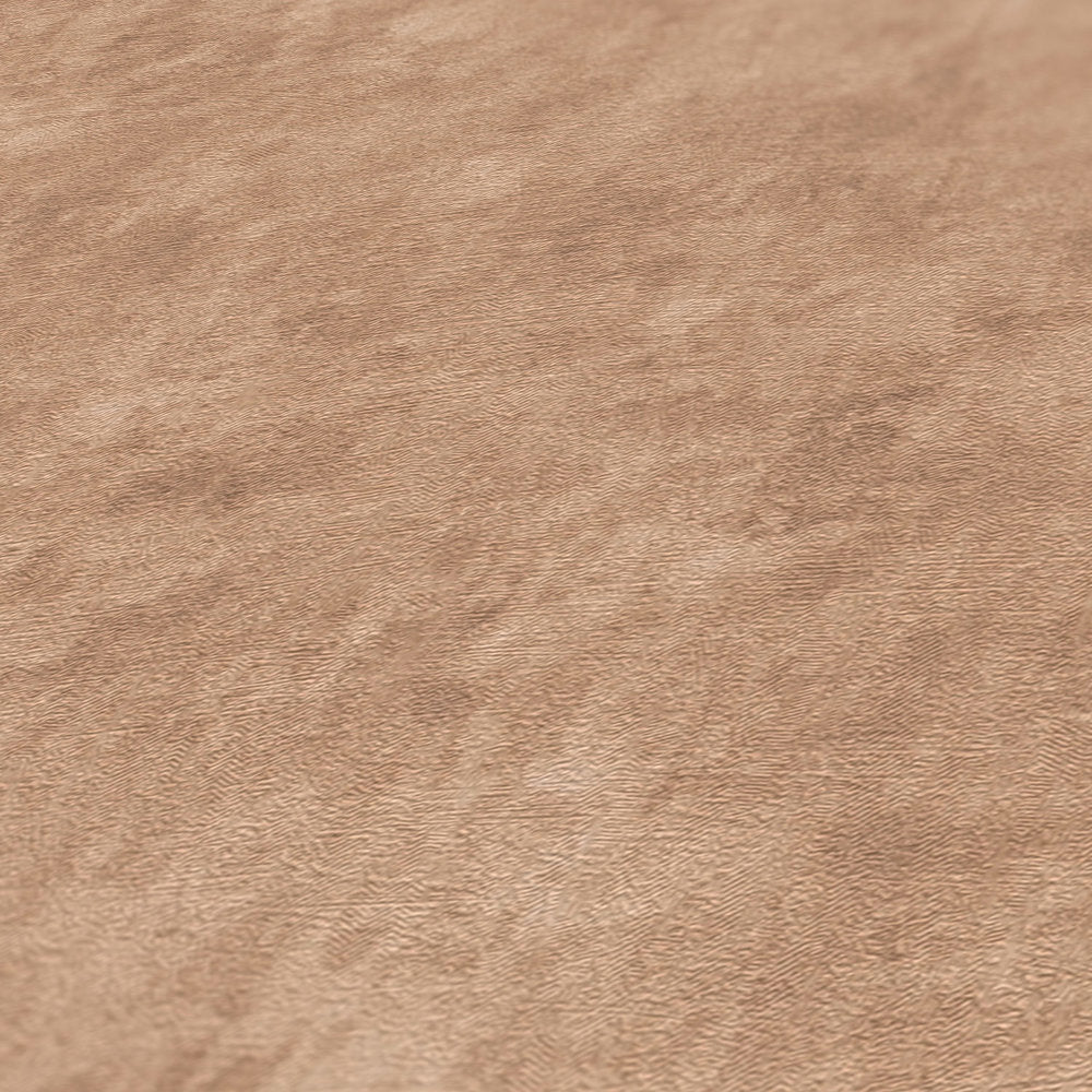 Terra - Industrial Wall plain wallpaper AS Creation    