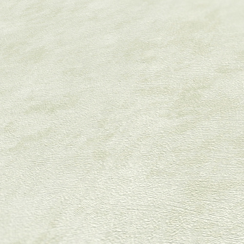 Terra - Industrial Wall plain wallpaper AS Creation    