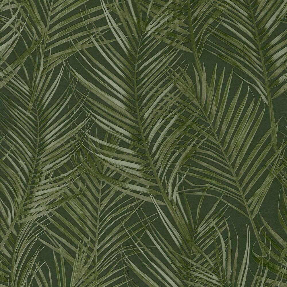 Attractive 2 - Palm Leaves botanical wallpaper AS Creation Roll Dark Green  390385