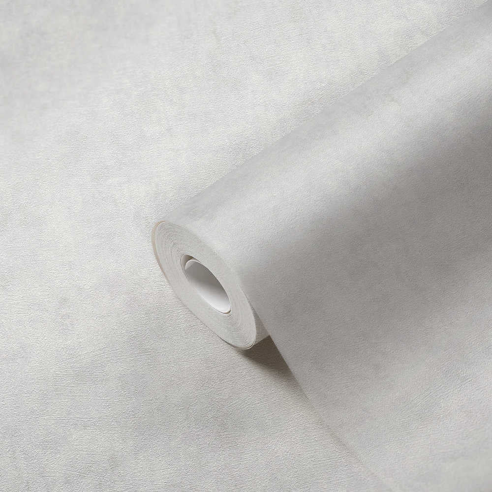 Terra - Industrial Wall plain wallpaper AS Creation    