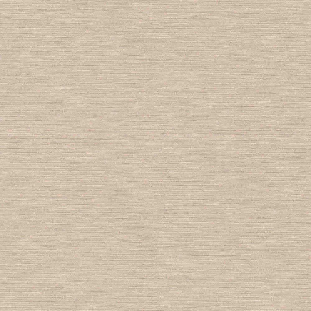 Antigua - Plain Satisfaction plain wallpaper AS Creation Roll Light Pink  390971