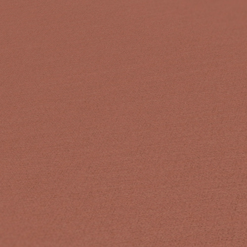 Antigua - Plain Satisfaction plain wallpaper AS Creation    