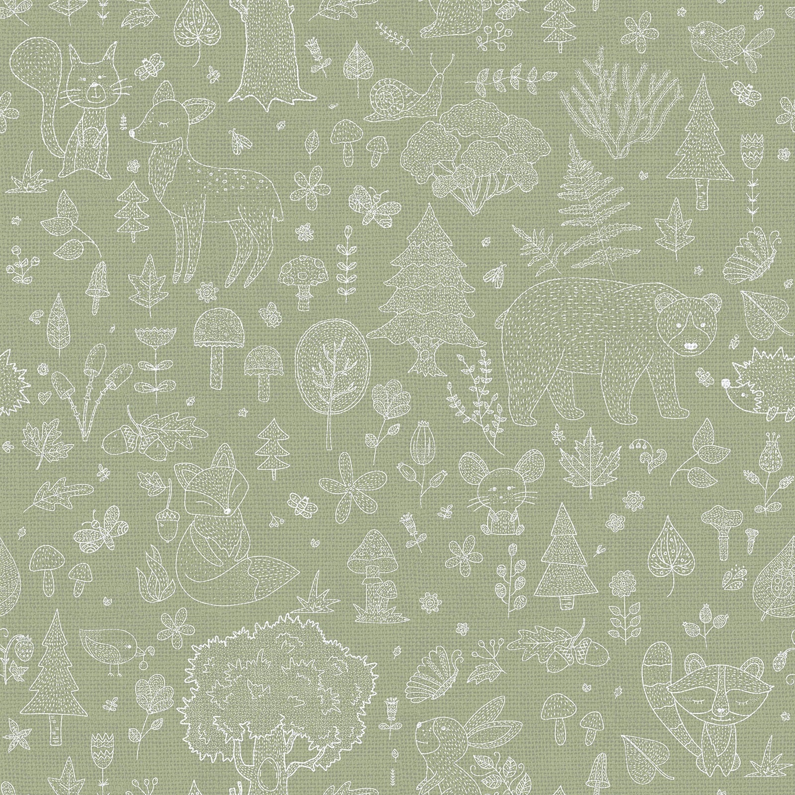 Happy - Adventure Awaits kids wallpaper Parato Roll Green 14805
