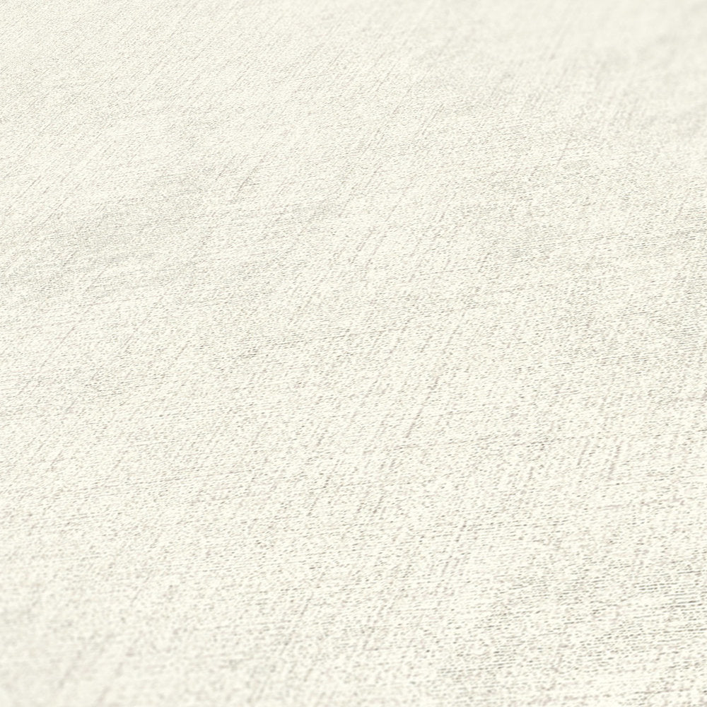 New Walls - Perfect Plains plain wallpaper AS Creation    
