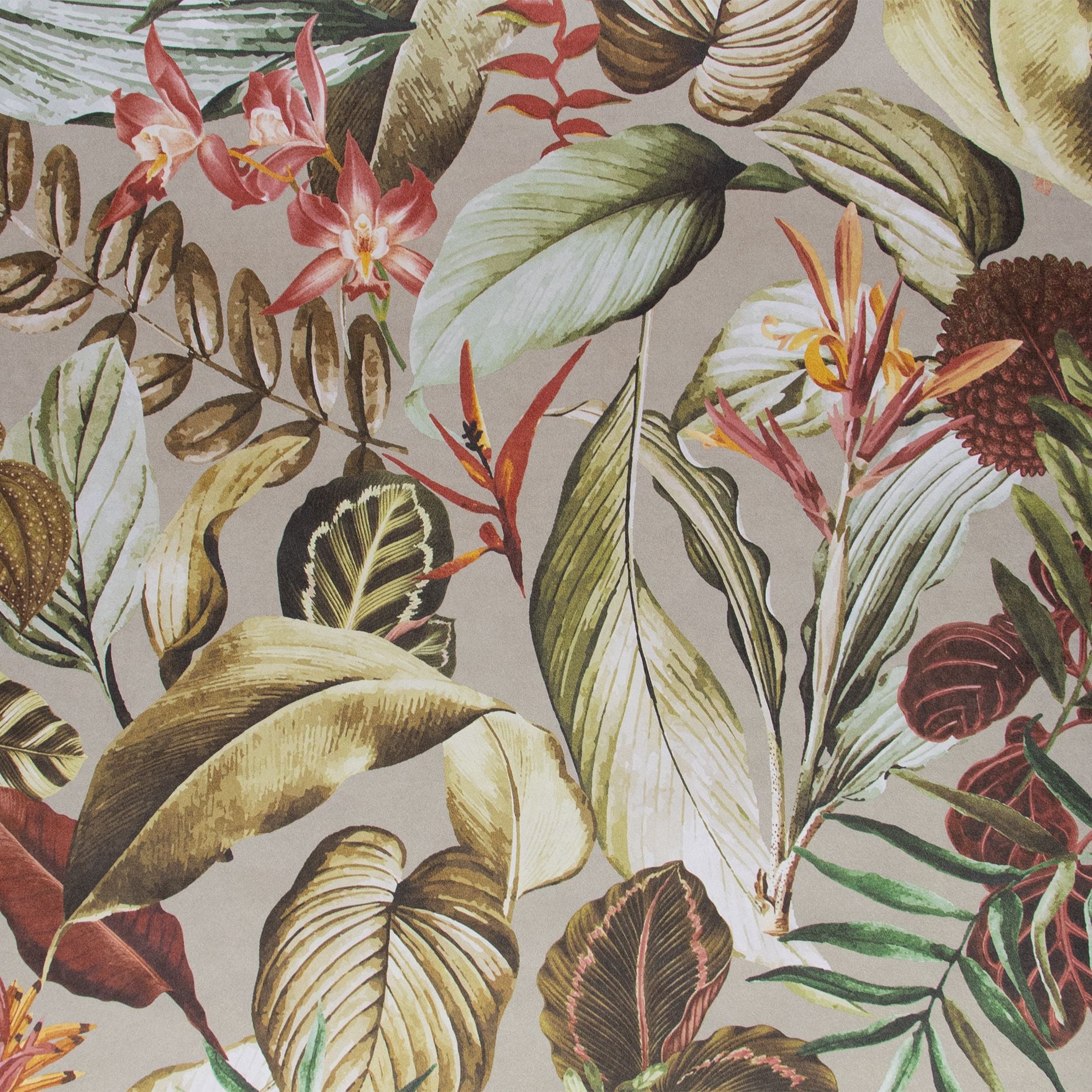 Tropical Dream  - Kiribati botanical wallpaper Hohenberger Roll Beige  26738