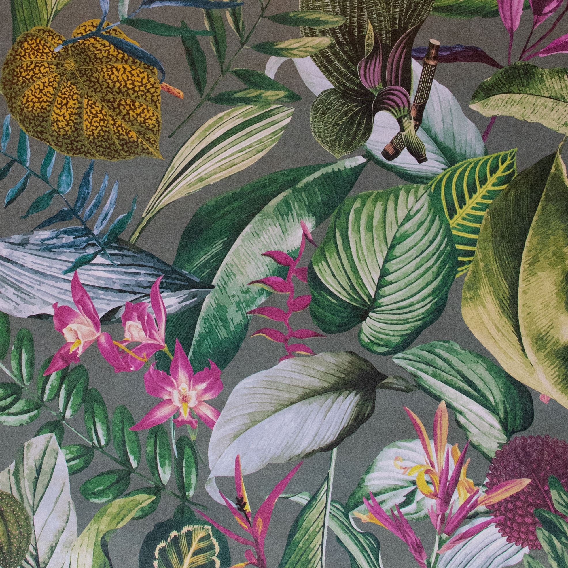Tropical Dream  - Kiribati botanical wallpaper Hohenberger Roll Green  26739