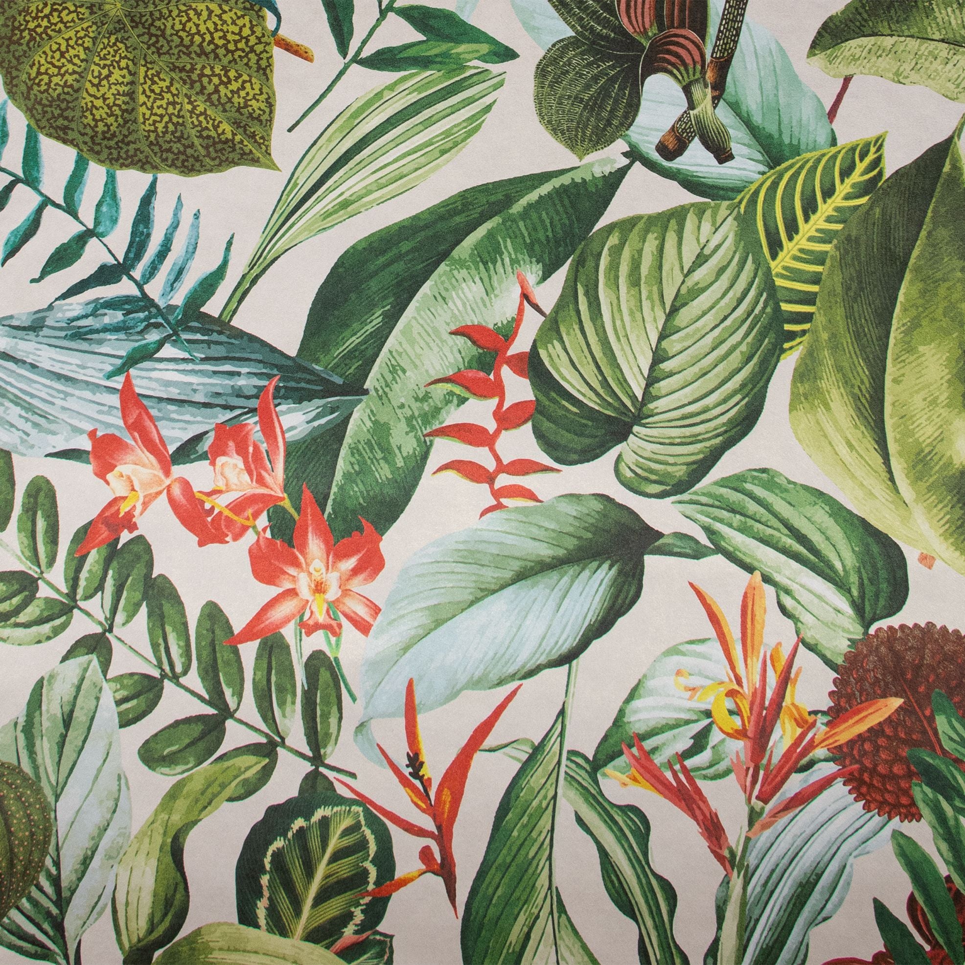 Tropical Dream  - Kiribati botanical wallpaper Hohenberger Roll Grey  26740