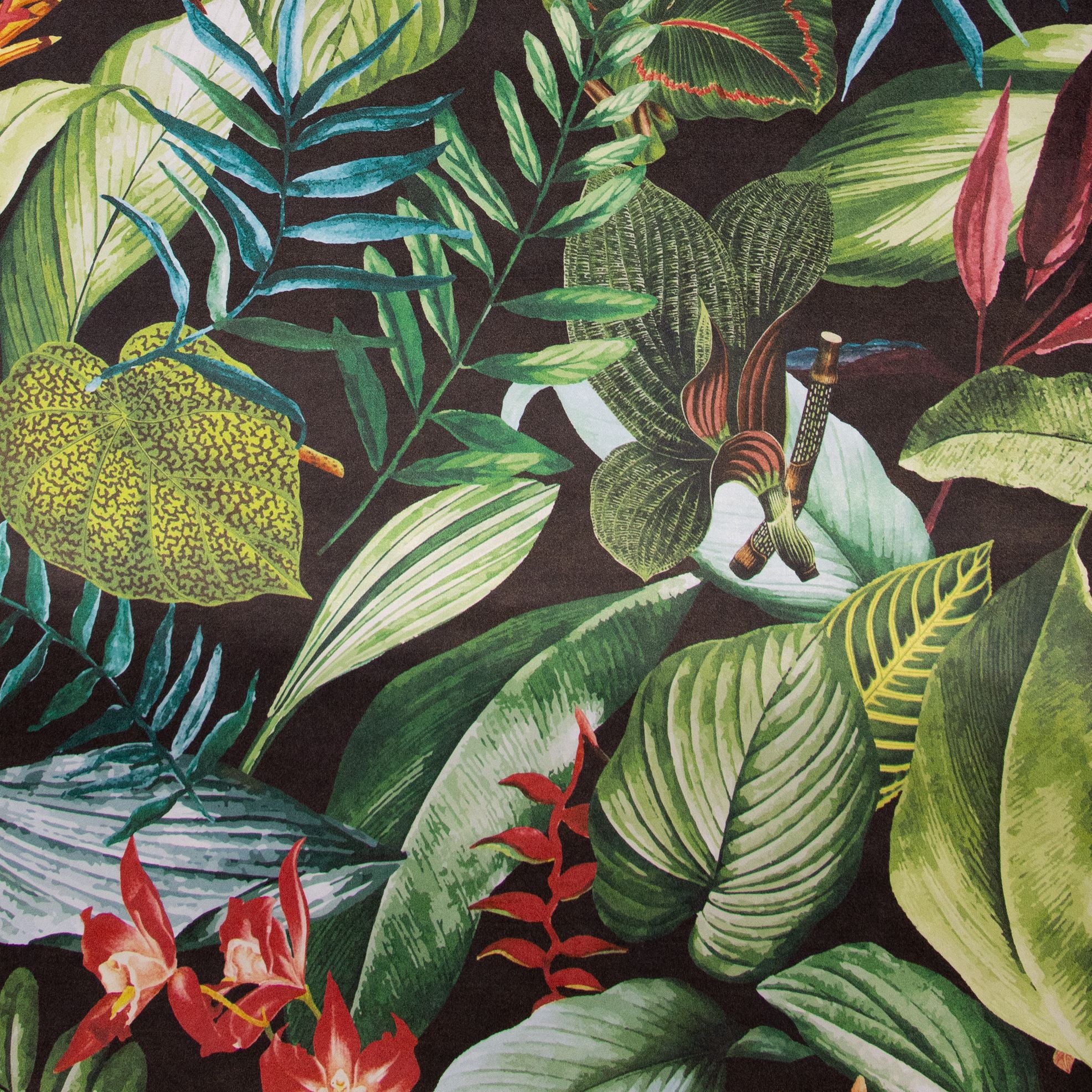 Tropical Dream  - Kiribati botanical wallpaper Hohenberger Roll Black  26742