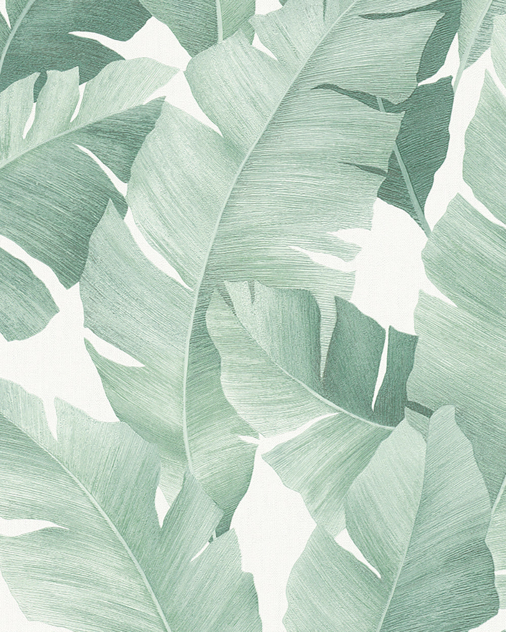 Avalon - Palm Leaves botanical wallpaper Marburg Roll Green  31650