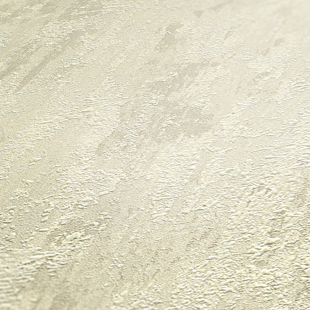 Trendwall 2 - Weathered Metal bold wallpaper AS Creation    