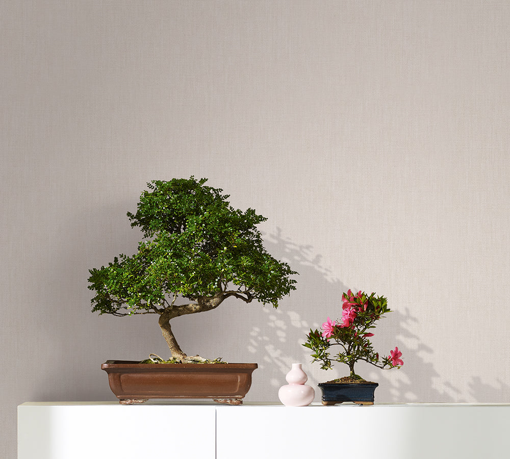 Botanica - Textured Plains plain wallpaper Marburg    