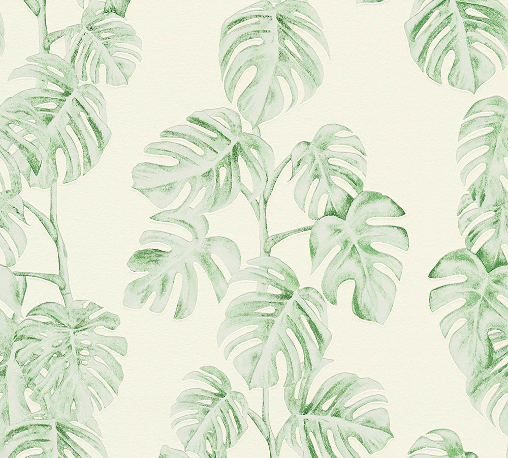 Greenery - Delicious Monstera botanical wallpaper AS Creation Roll Green  372813