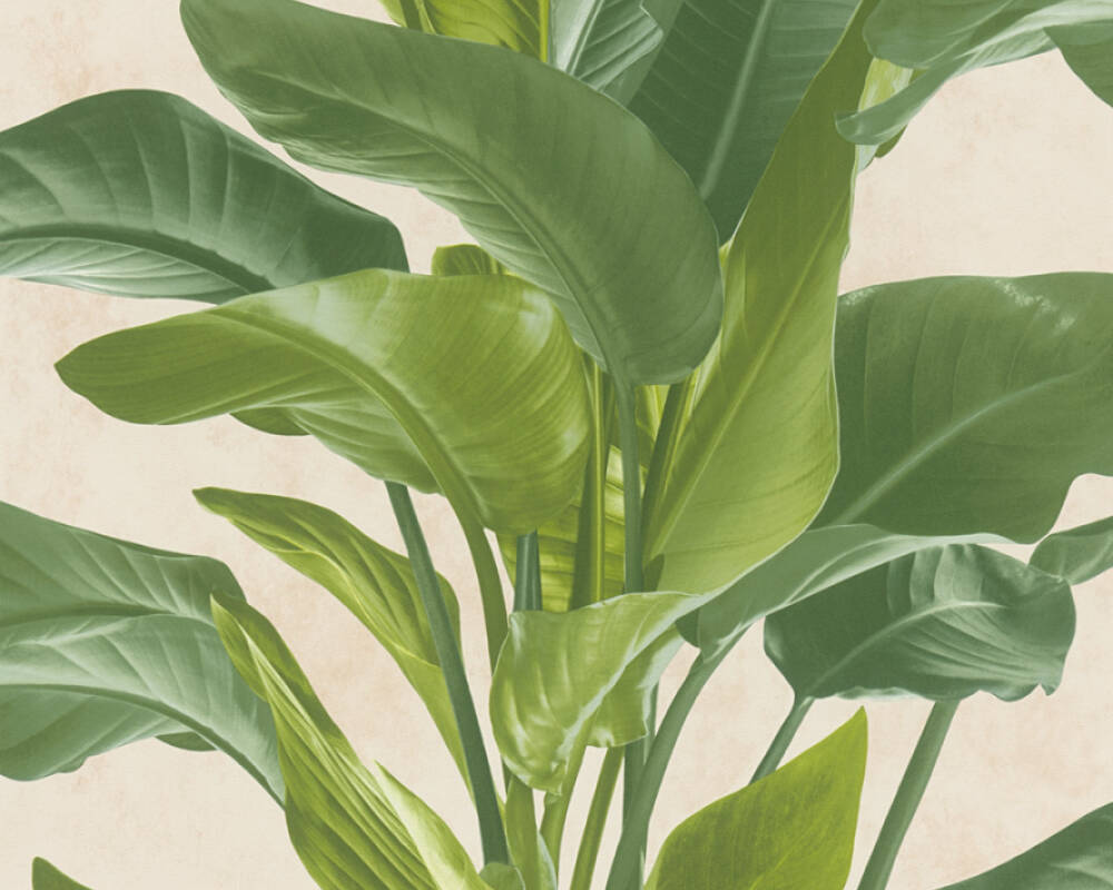 Metropolitan Stories 2 - Living Palms botanical wallpaper AS Creation Roll Green  378623