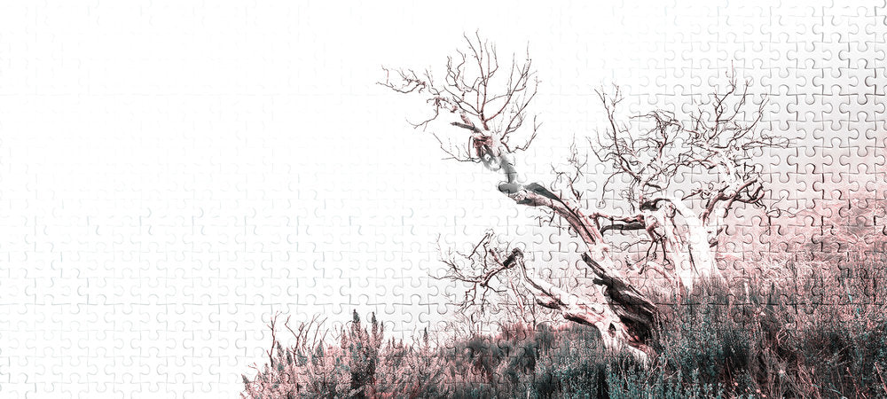 Atelier 47 - Fallen Tree Puzzle digital print AS Creation White   116900