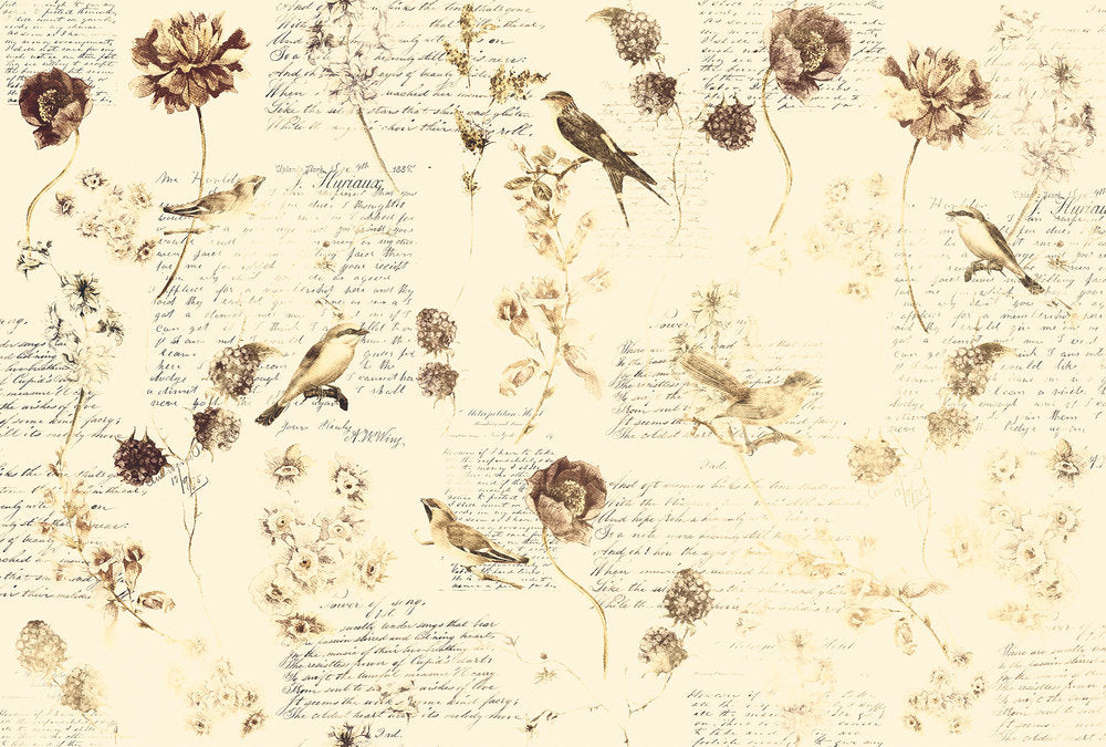 Atelier 47 - Bird Poesie digital print AS Creation Beige   118230