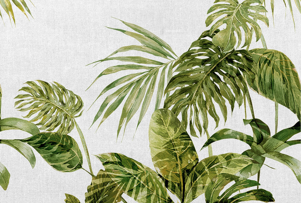 Atelier 47 - Tropical Leaves Artwork digital print AS Creation Green   118285