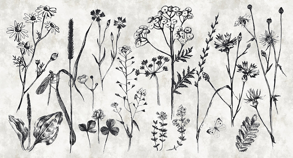 Walls By Patel - Sketchpad digital print AS Creation Herbs   110351
